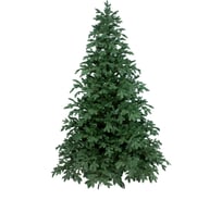 Искусственная ель BEATREES Сириус С 2,4 м 1032124