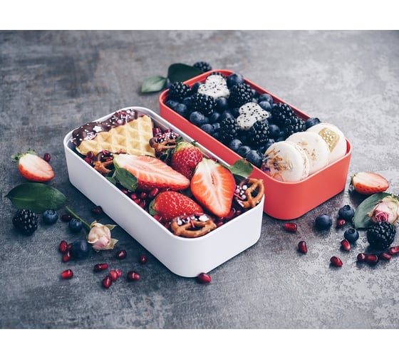 Ланч-бокс Monbento MB Original коралловый 1200 02 113