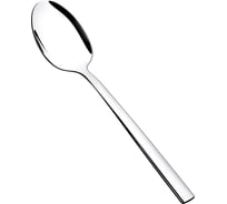 Ложка столовая нерж. сталь 18/0 (толщ.3 мм) Linea Arcadia Regent inox 12 пр 93-CU-AD-03