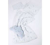 Комплект постельного белья Ночь нежна Бегемотики 10495-1+10496-1 Бязь 120гр. Бэби 40x60 (1) стандарт 4660056196889