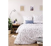 Комплект постельного белья Ночь нежна Эрион 21308-1+21309-1 Поплин 2 сп. Евро 70x70 (2) стандарт 4660056212008