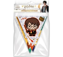 Гирлянда поздравительная ND Play Harry Potter Персонажи флажки чиби 296124