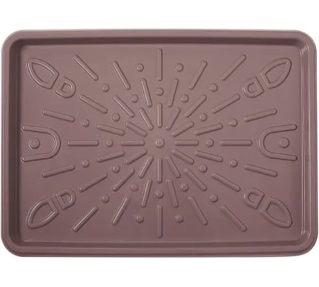 Лоток для обуви Архимед 53.5x38x4 см, фиолетовый Р1212Ф