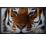 Придверный коврик HAMAT Mондиал МОРДА ТИГРА 45*75 см Mondial Tiger Face 555409 1