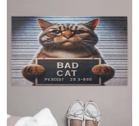 Коврик придверный JoyArty в прихожую с принтом Плохой кот 45х75 см door_429894