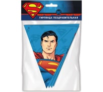 Поздравительная гирлянда ND Play Superman Персонажи флажки 286206