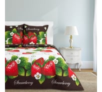 Комплект постельного белья Этель дуэт Виктория 143x215 см 2 шт, 220x240 см, 70x70 см 2 шт, 100% хлопок, бязь 1 1090462