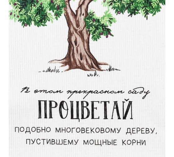 Полотенце Доляна кухонное Процветай 35x60 см, 100% хлопок, 160 г/кв.м 5423106