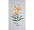 Полотенце Этель Yellow poppies 40x73 см, 100% хлопок, репс 210 г/кв.м 9322496 2