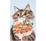 Набор полотенец кухонных Доляна Cats 35x60 см 8 шт, 100% хлопок 9284375 9