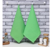 Набор полотенец Доляна светло-зеленый, 40x60 см 2 шт, 100% хлопок, вафля 170 г/кв.м 9472204