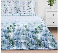 Комплект постельного белья Этель Евро Eucalyptus 200x217 см, 220x240 см, 70x70 см - 2 шт., поплин 5181646