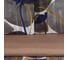 Комплект постельного белья Этель 2 спальный, Шато 180x215 см, 200x225 см, 50x70± 3 см - 2 шт., новосатин 9490299 4