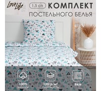 Комплект постельного белья LoveLife 1.5-спальное, Geometry 147x210, 150x215, 70x70-1 шт, 100% хлопок, бязь 120г/м2 9193331