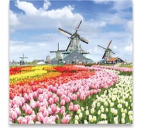 Картина на холсте Симфония Мельница, 30x30 см 1-020