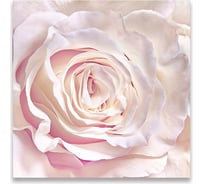 Картина на холсте Симфония Роза, 30x30 см 1-019