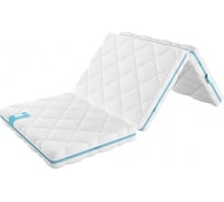 Матрас складной беспружинный Promtex Roll Standart 10 Cocos 110x195 P-RS-1-010-ST-SKL10CC\300