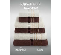 Полотенца махровые DIANA Эваланж, цвет: Какао/Молочный (30x50 (2 шт), 50x90 (2 шт), 70x130 (2 шт)) ПМDЭ-КМ-30-50-70-6