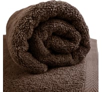 Полотенце Wenge махровое 70x140 Ice cocoa 957235