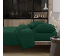Комплект постельного белья Wenge семейный перкаль Актив Optima 70x70 рисунок 86407-9 Malachite 995107