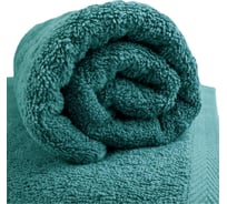 Полотенце махровое Wenge 50x90 Sea wave 957228