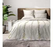 Комплект постельного белья Wenge 1.5, сатин, Concept 70x70, рис. 60110-1/24700-23 Nostalgia 992321