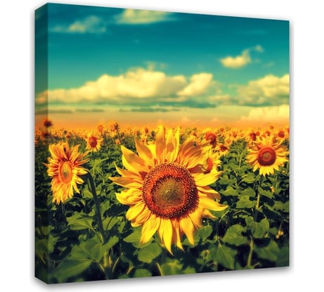 Картина на холсте Симфония Подсолнухи 30x30 см 1-001