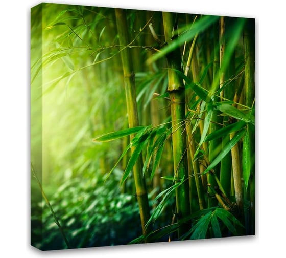 Картина на холсте Симфония Бамбук 30x30 см 1-006