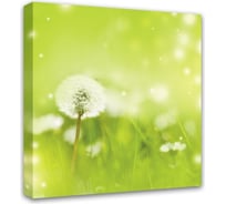 Картина на холсте Симфония Одуванчик 30x30 см 1-018