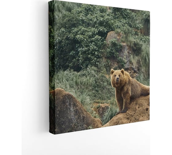 Картина на холсте Симфония Медведь 30x30 см 1-140 1