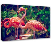Картина на холсте Симфония Фламинго 50x70 см 1-077