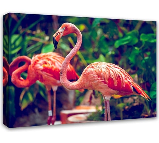 Картина на холсте Симфония Фламинго 50x70 см 1-077