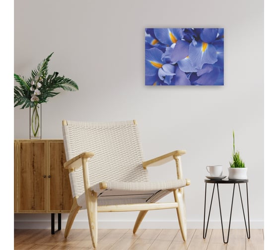 Картина на холсте Симфония Ирисы 40x50 см 1-070