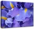 Картина на холсте Симфония Ирисы 40x50 см 1-070 1