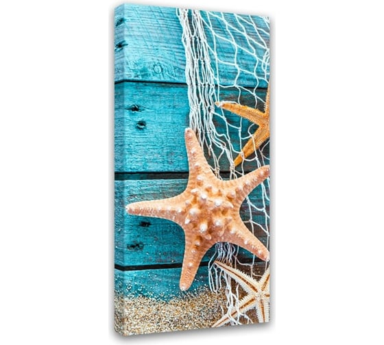 Картина на холсте Симфония Морская звезда 50x100 см 1-093
