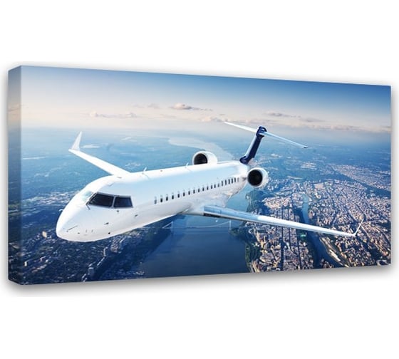 Картина на холсте Симфония Полет 50x100 см 1-092 1