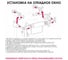 Рулонные шторы Эскар Торонто, серый, 98x160 см 7514098160 7
