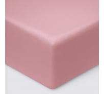 Простыня на резинке Ecotex ПРСС16 Моноспейс сатин, 160x200x23, бузина 4680088210469