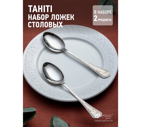 Набор столовых ложек APOLLO genio Tahiti 2 предмета THT-42
