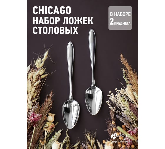 Набор столовых ложек APOLLO genio Chicago 2 предмета CHI-42