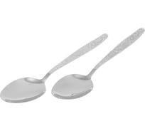 Набор столовых ложек APOLLO genio Sochi 2 предмета SCH-42