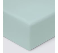 Простыня на резинке Ecotex ПРСС14 Моноспейс сатин, 140x200x23, нежно-голубая 4680088210438 ПРСС14/нежно-голубая