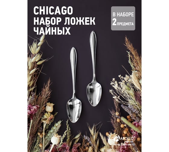 Набор ложек чайных APOLLO genio "Chicago" 2 предмета CHI-52