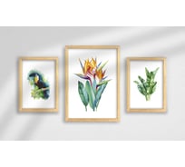 Набор постеров в раме Тропики из 3 шт., дерево Симфония ПРН-191