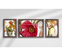 Набор постеров в раме Яркость из 3 шт., дерево Симфония ПРН-166