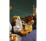 Молочник Liberty Jones Santorini 250 мл LJ0000189 5