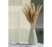 Штора-тюль Witerra глянец 140х180 см шампань 00000072604