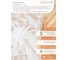 Комплект штор для кухни Witerra Кантр персик 285x160 лента л13304 2
