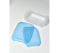 Набор контейнеров Авион с крышкой синий 2 шт К 003