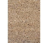 Придверный коврик ROZENBAL 33х55 см R108000